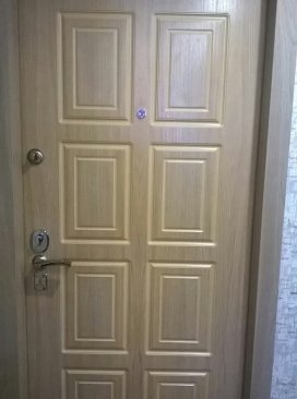 металлическая дверь Дубна