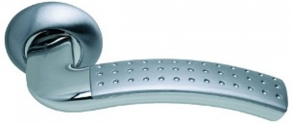 Lacerta