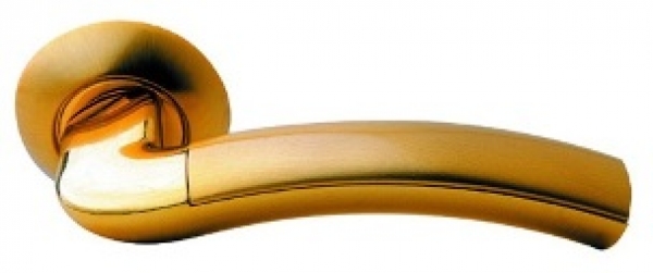 Lacerta